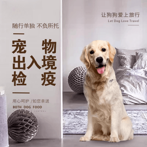 焦作宠物托运到哥伦比亚猫狗宠物入境规定和
