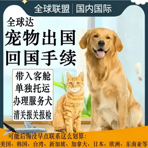 焦作宠物托运到柬埔寨宠物入境规定和要求