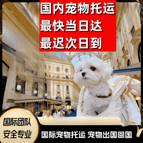 焦作到澳大利亚（澳洲）宠物入境规定和要求