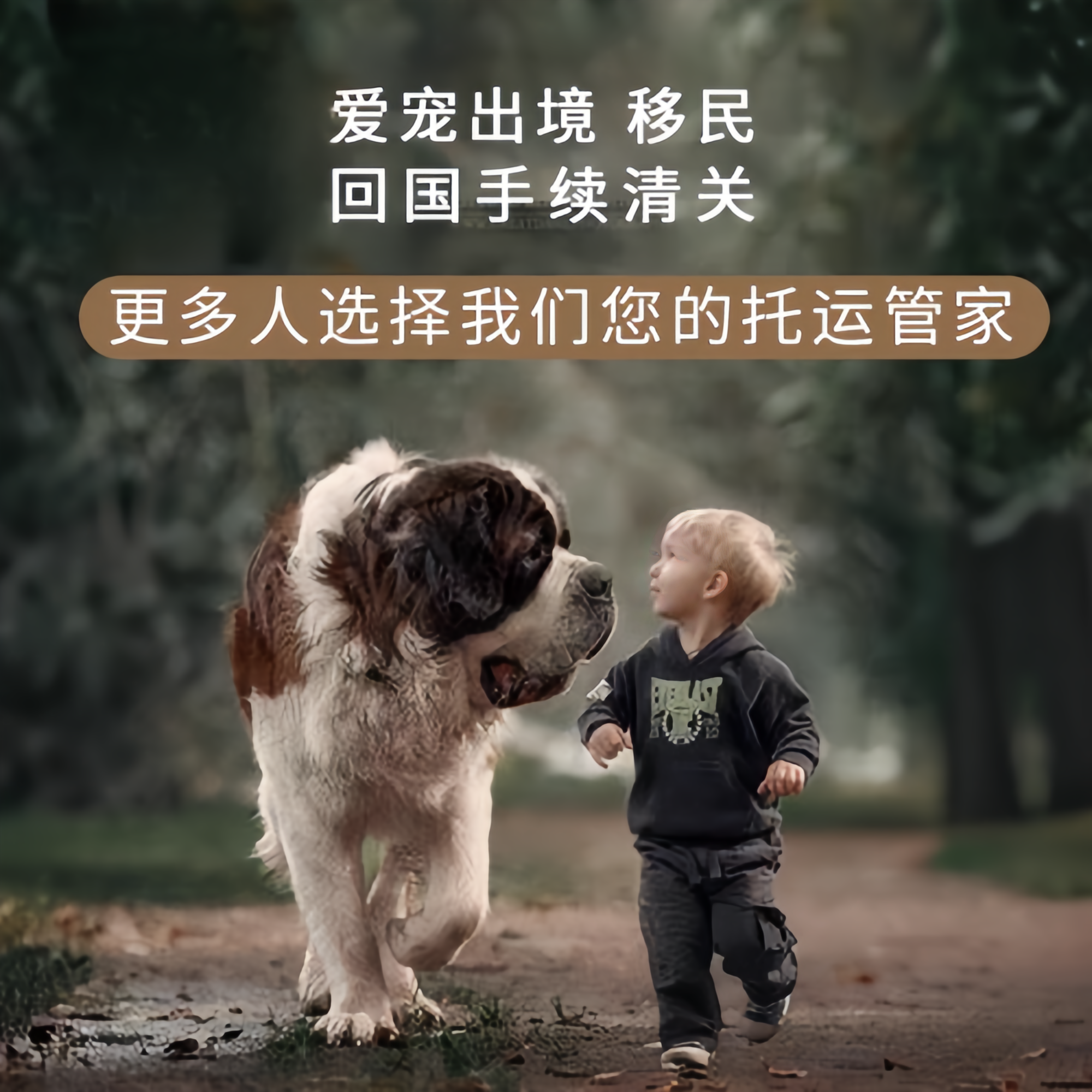 满财焦作宠物全球达宠物托运在遵守入境目的地政策的条件