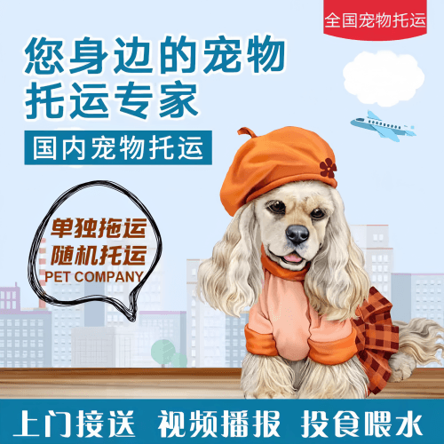 满财焦作宠物全球达宠物托运作为专业的宠物运输代理机构